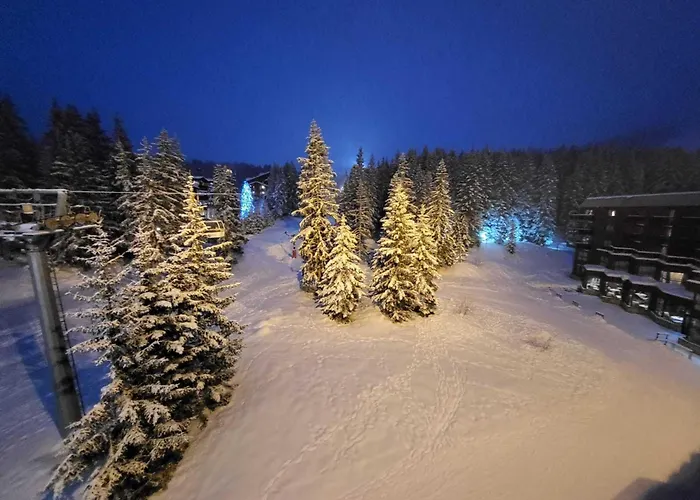 Lejlighed Confortable A 1850 Avec Balcon Et Parking - Fr-1-575-208